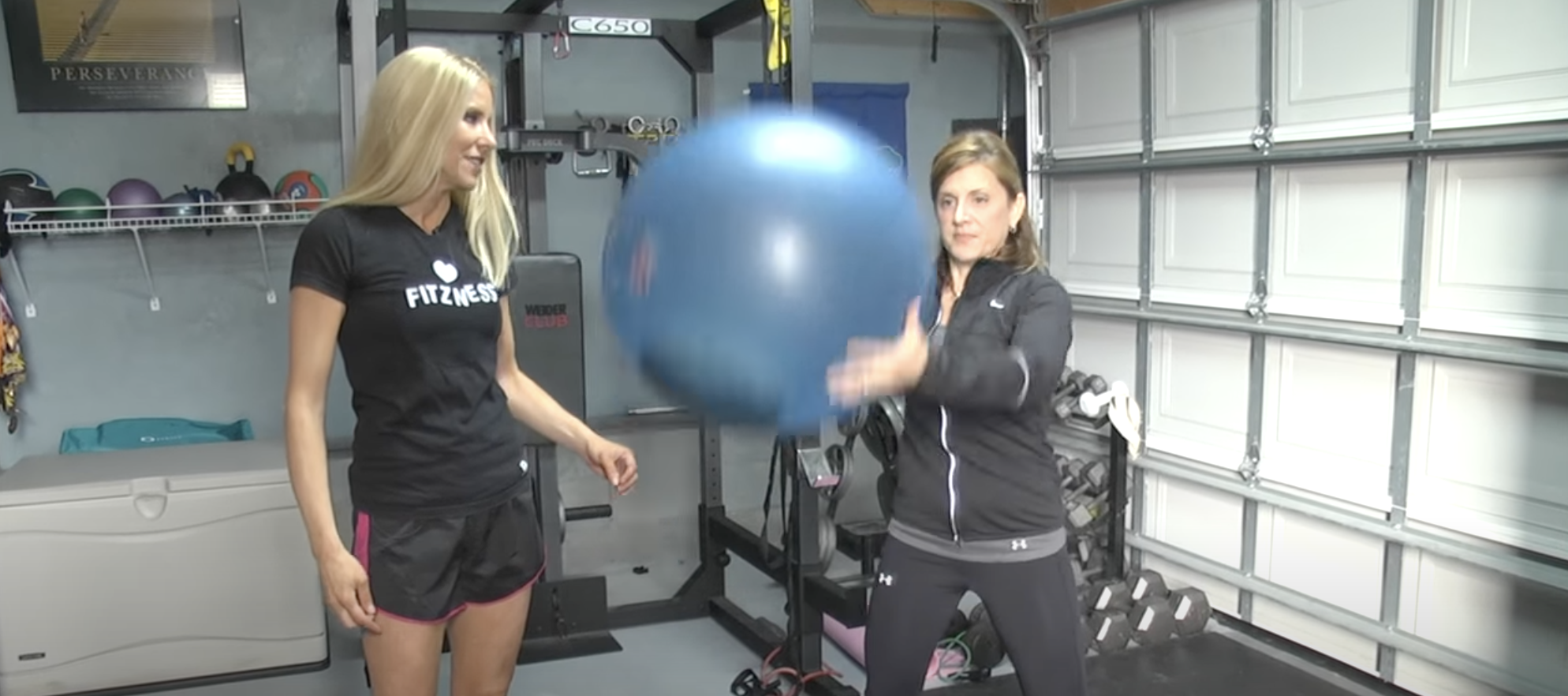 Weider discount exercise ball