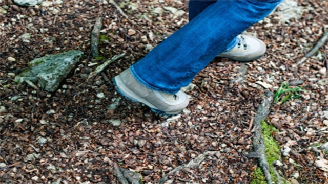 Take a Hike! Walking Shown to Increase Creativity