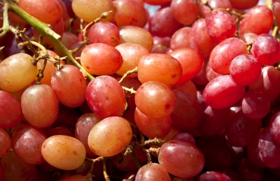 Yummy Grape Chicken Salad