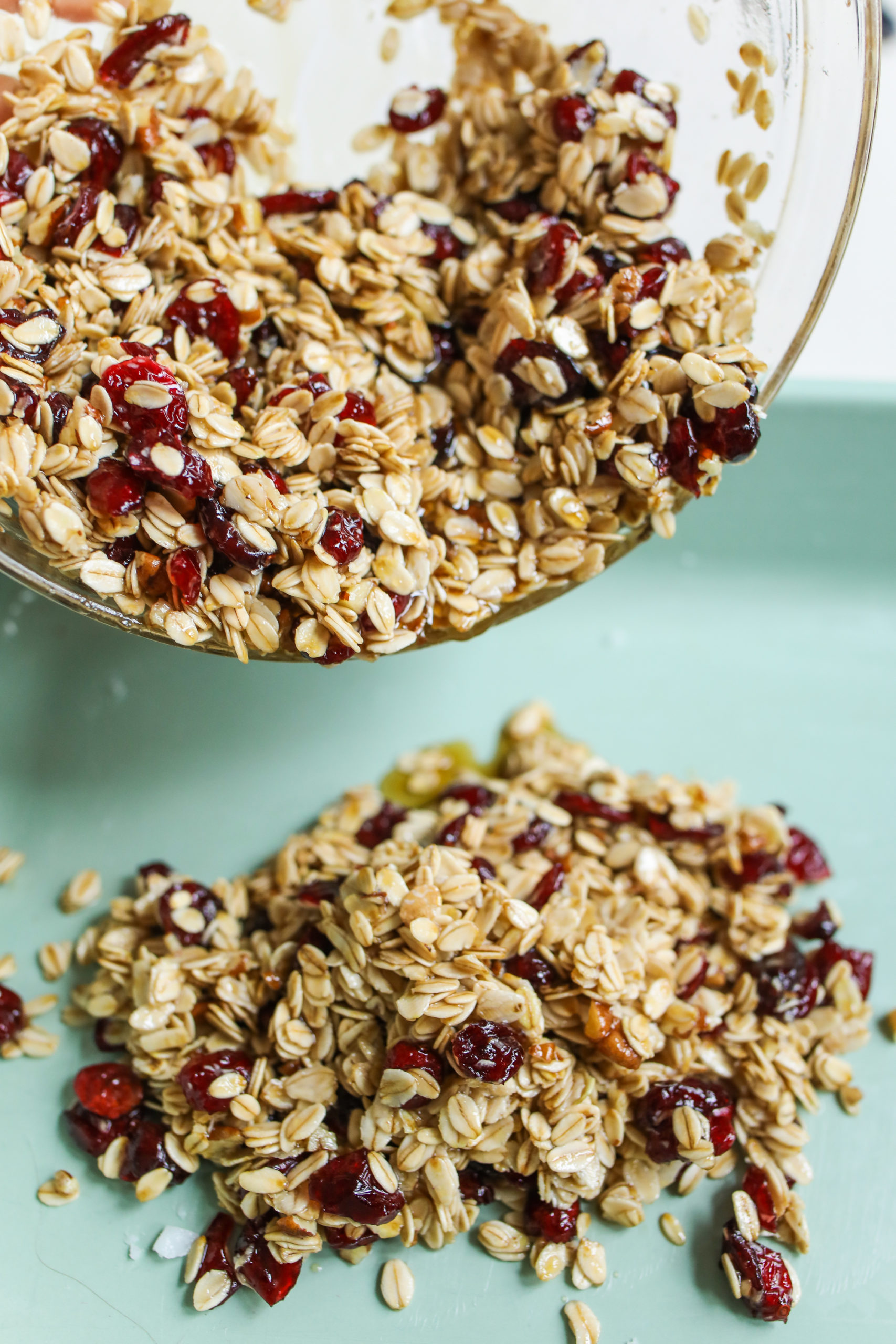 Oatmeal Raisin Protein Muffins