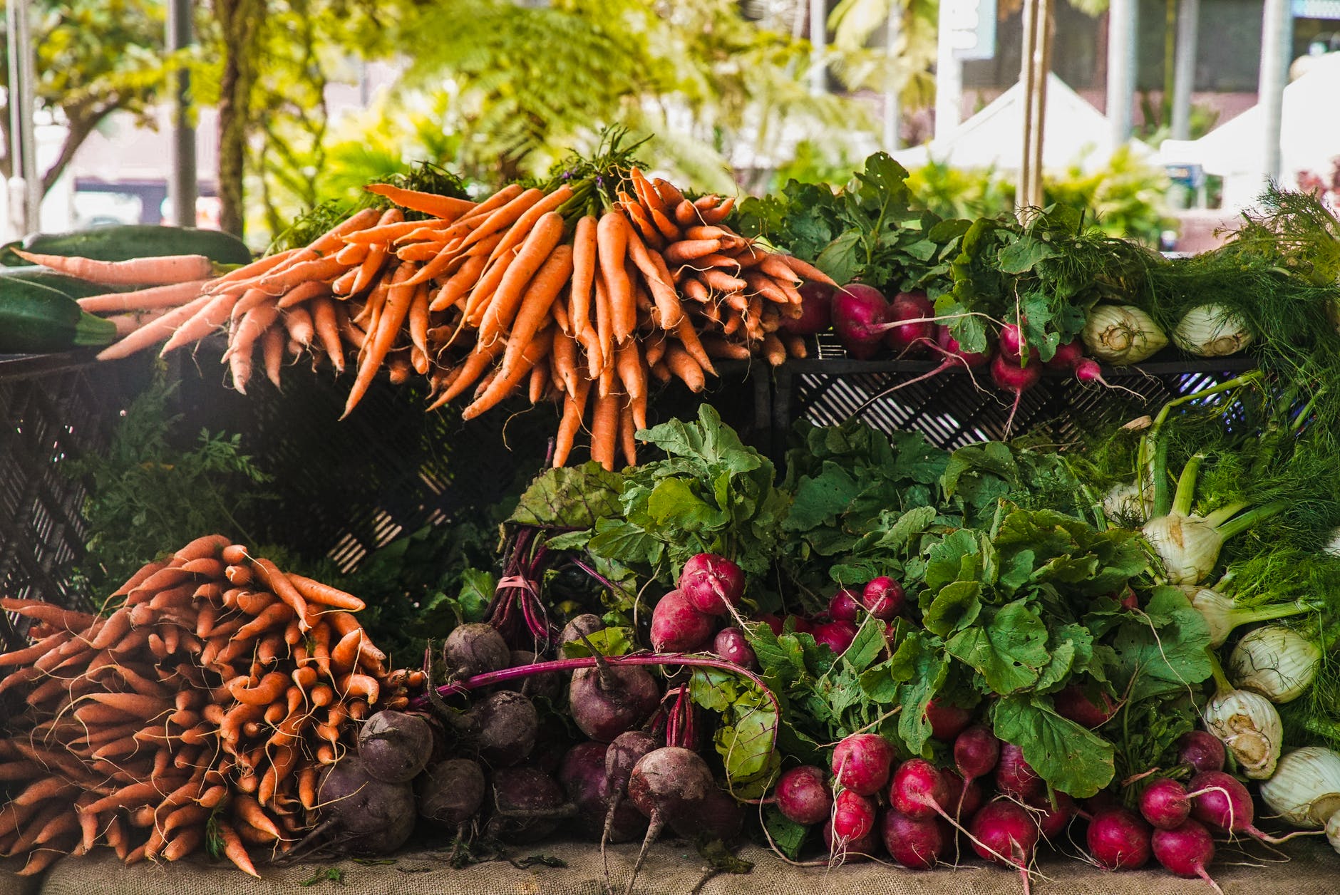 Slow-Roasted Root Vegetables