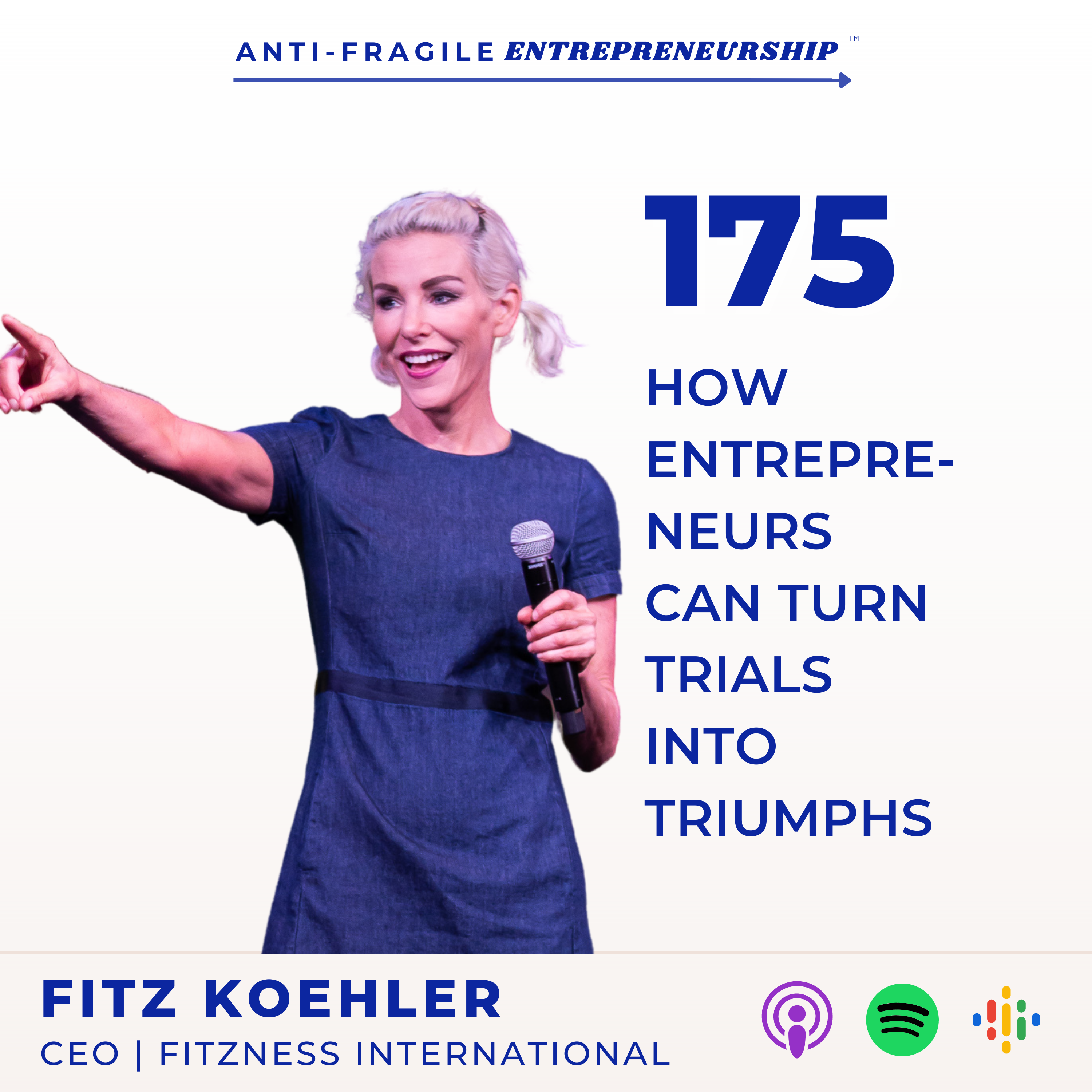 Fitz on the AntiFragile Entrepreneurship Podcast